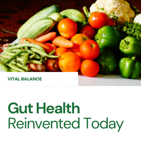 🌱 Gut Health, Reinvented: Discover the Power of Postbiotics