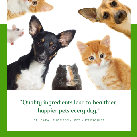 QRILL Pet: A Next-Gen Ingredient for Companion Animal Nutrition