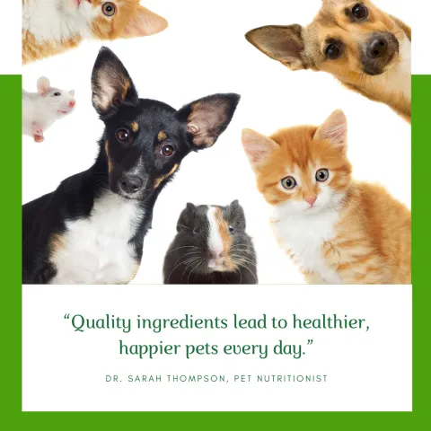 QRILL Pet: A Next-Gen Ingredient for Companion Animal Nutrition