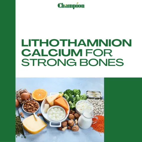 Lithothamnion Calcium: A Plant-Based Powerhouse for Bone Health