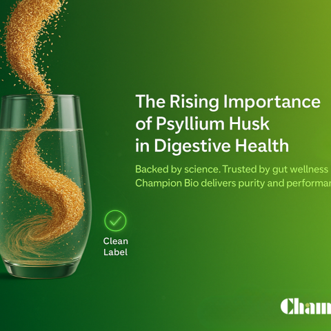 The Rising Importance of Psyllium Husk in Digestive Health