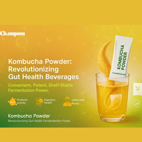 🍵 Kombucha Powder: Transforming the Future of Gut Health Beverages
