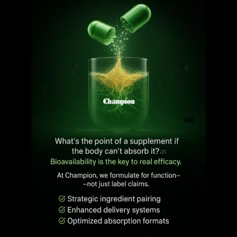 The Power of Bioavailability: Why It Defines the Future of Effective Supplements