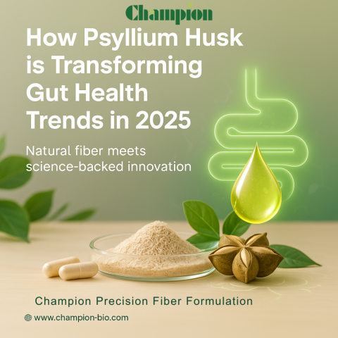 How Psyllium Husk is Transforming Gut Health Trends in 2025