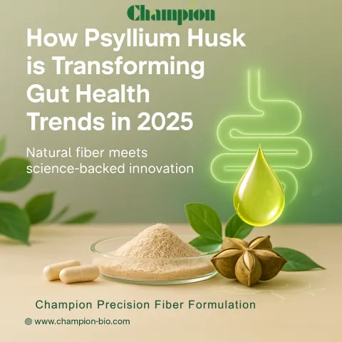 How Psyllium Husk is Transforming Gut Health Trends in 2025
