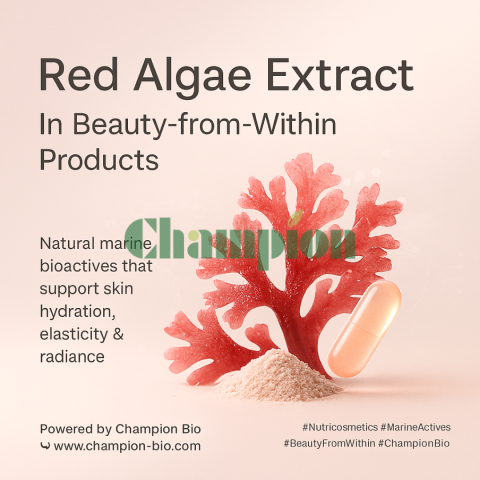 Red Algae Extract and Its Role in Beauty-from-Within Products