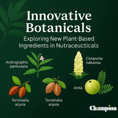 Innovative Botanicals: Exploring New Plant-Based Ingredients in Nutraceuticals