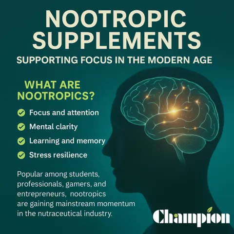 Nootropic Supplements: Supporting Focus in the Modern Age