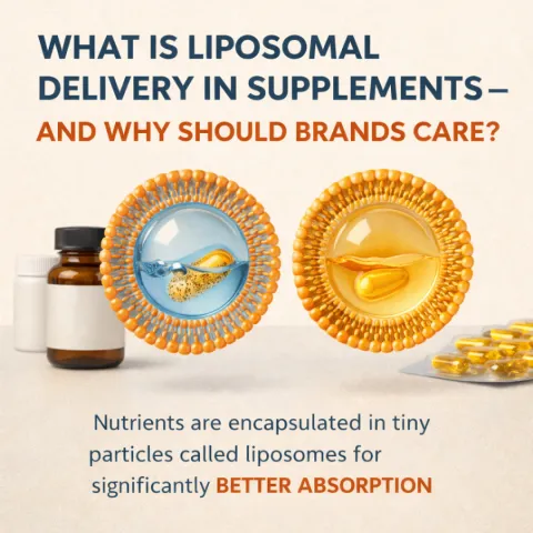 What Is Liposomal Delivery in Supplements—and Why Should Brands Care?