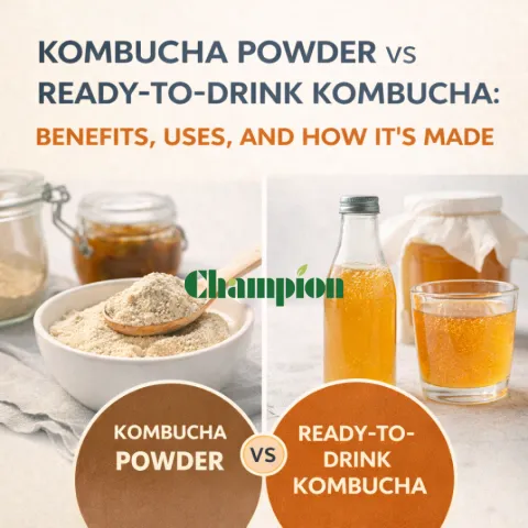 Kombucha Powder vs Ready‑to‑Drink Kombucha: Benefits, Uses, and How It’s Made