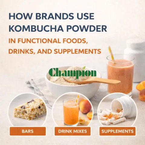 How Brands Use Kombucha Powder in Functional Foods, Drinks, and Supplements