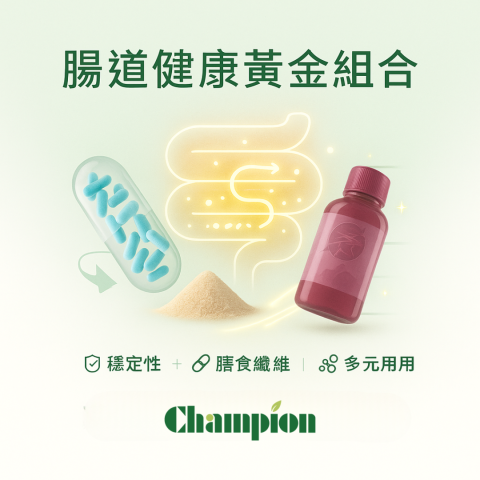 腸道健康：纖維與益生菌的黃金組合