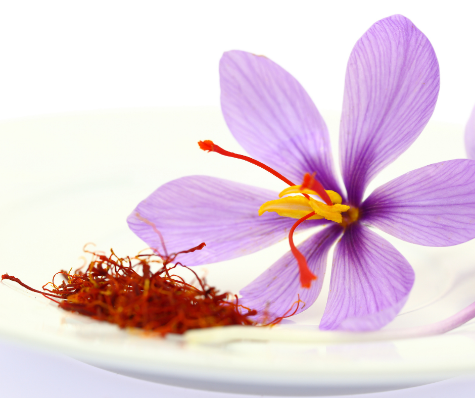 番紅花萃取 睡眠保健原料 宸品 番紅花萃取 睡眠保健原料 宸品