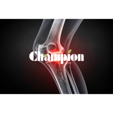champion bio product of joint care